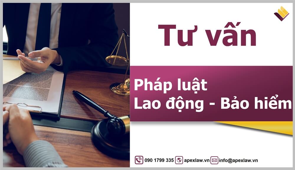 tư vấn pháp luật lao động miễn phí