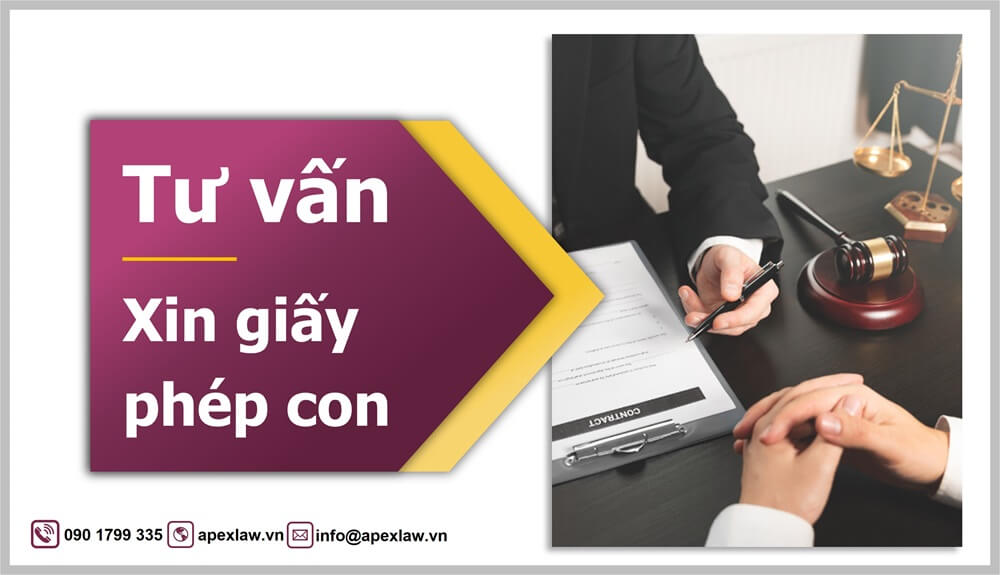 Tư vấn xin giấy phép con