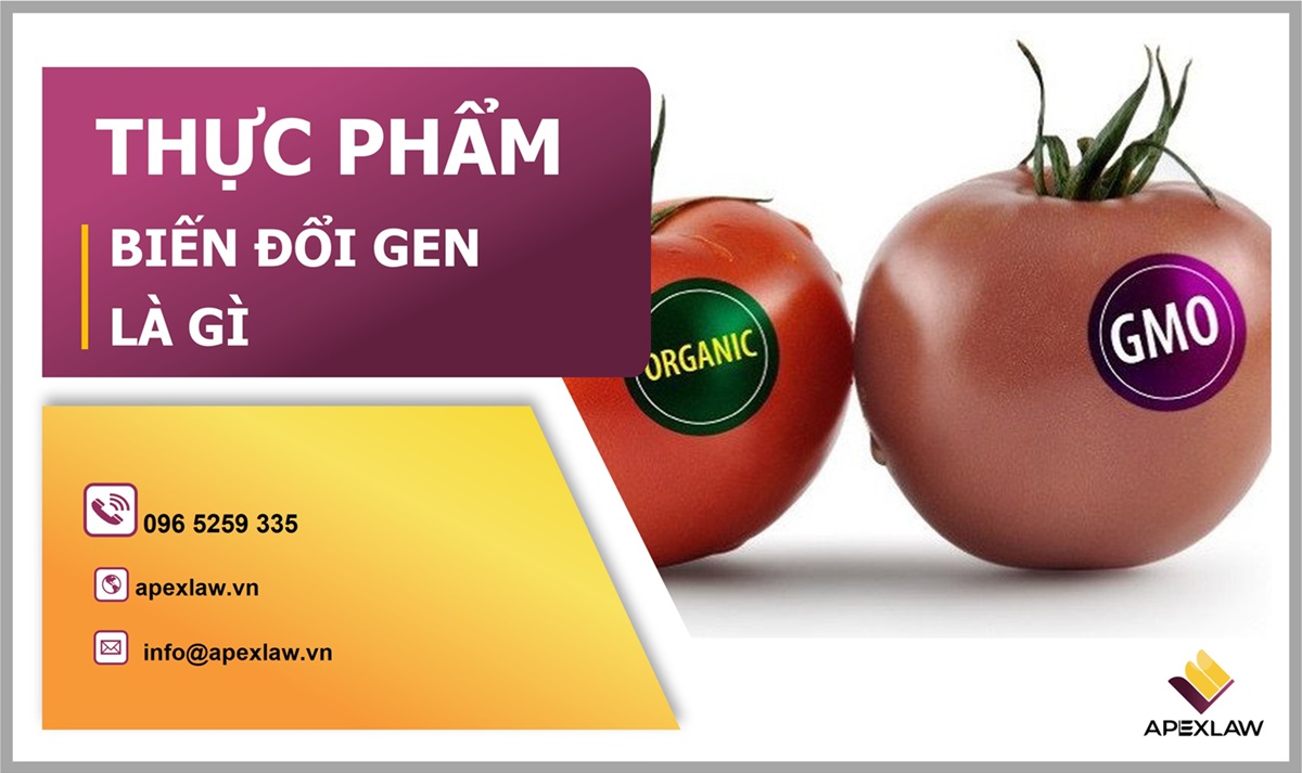 Thực phẩm biến đổi Gen là gì